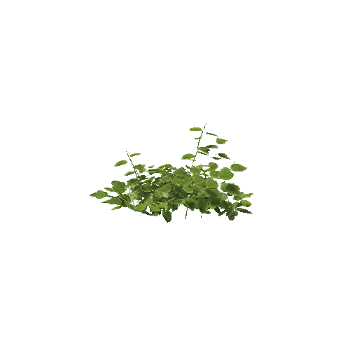 Plant 26_LOD_1